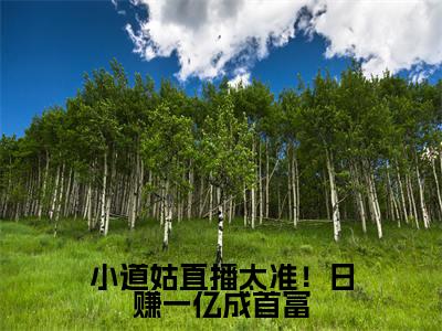 沐狸（小道姑直播太准！日赚一亿成首富）未删减-沐狸完结版阅读地址