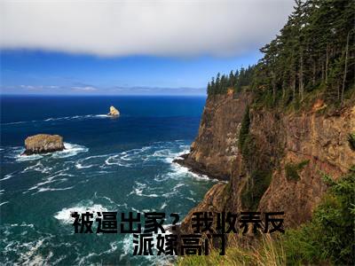 被逼出家？我收养反派嫁高门小说（曹舒月）全文在线阅读无弹窗大结局被逼出家？我收养反派嫁高门