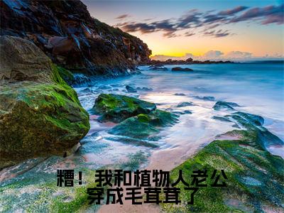 段乘鸢（糟！我和植物人老公穿成毛茸茸了）全文免费阅读无弹窗大结局-糟！我和植物人老公穿成毛茸茸了（段乘鸢）小说全文免费阅读最新章节列表