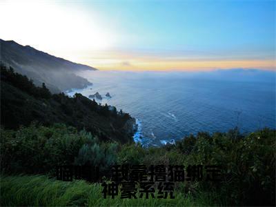 乔奚（喵呜！我靠撸猫绑定神豪系统小说）全文免费阅读无弹窗大结局_喵呜！我靠撸猫绑定神豪系统小说免费阅读最新章节列表_笔趣阁（乔奚小说）