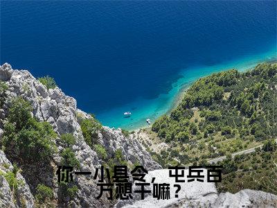 江元（你一小县令，屯兵百万想干嘛？）全文阅读-最火热点小说江元最新更新