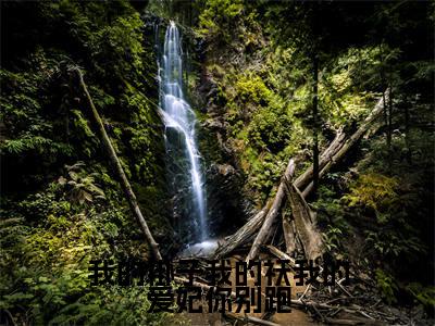 我的褂子我的袄我的爱妃你别跑全文免费阅读大结局_我的褂子我的袄我的爱妃你别跑全文免费阅读无弹窗_笔趣阁（苏千鹤）