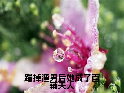 踹掉渣男后她成了首辅夫人（陆婉婉谢怀瑾）免费阅读无弹窗大结局-踹掉渣男后她成了首辅夫人免费阅读大结局最新章节列表_笔趣阁