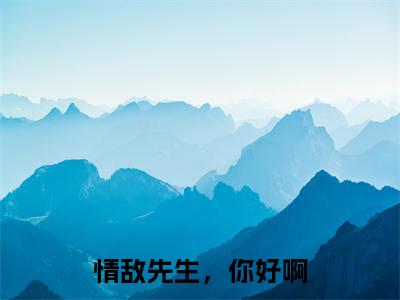 情敌先生，你好啊（岑沐白郁天青）全文免费阅读无弹窗大结局_岑沐白郁天青最新章节列表