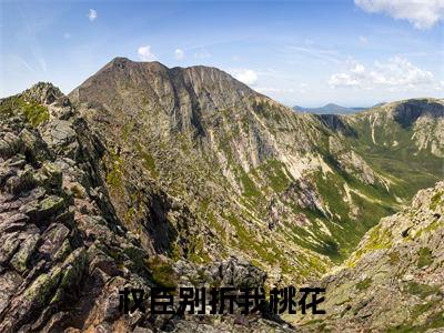 （谢辞景沈珺）权臣别折我桃花全文免费阅读无弹窗大结局_谢辞景沈珺（权臣别折我桃花）小说结局免费阅读