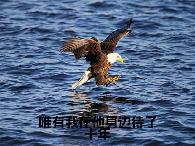 唯有我在他身边待了十年最新章节（厉斐言齐疏桐）全文免费阅读无弹窗大结局_厉斐言齐疏桐唯有我在他身边待了十年全文免费阅读