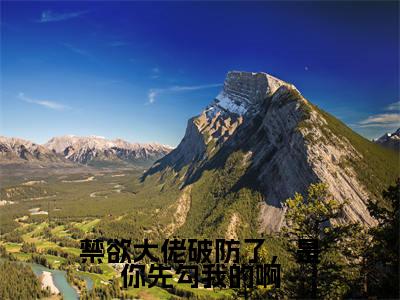 温颜蓝珩是哪部小说的主角-禁欲大佬破防了，是你先勾我的啊（温颜蓝珩）全文无弹窗完整版阅读禁欲大佬破防了，是你先勾我的啊