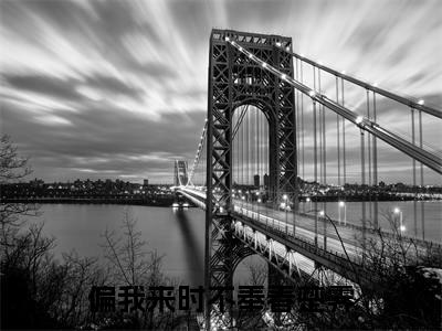 偏我来时不奉春楚霁小说全文免费阅读无弹窗-时茗楚霁全文在线阅读
