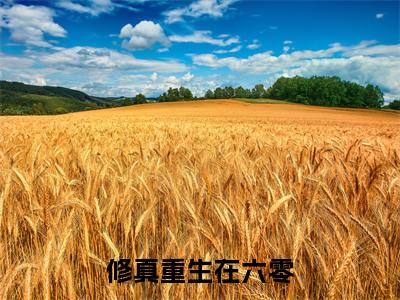 安柳（安柳）全文免费阅读无弹窗大结局_修真重生在六零小说最新章节列表_笔趣阁