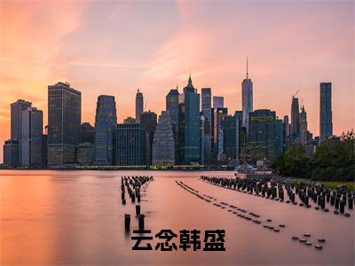 云念韩盛（云念韩盛）精选热门小说-小说（云念韩盛）云念韩盛全文免费阅读最新章节列表