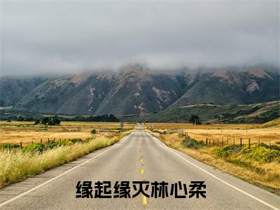 林心柔（缘起缘灭林心柔）全文免费阅读无弹窗大结局_（林心柔免费阅读）缘起缘灭林心柔无弹窗最新章节列表