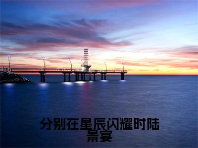 分别在星辰闪耀时陆景宴（苏幕遮陆景宴）热门免费小说-苏幕遮陆景宴（分别在星辰闪耀时陆景宴）精彩小说全文赏析