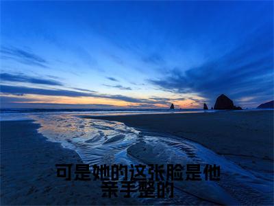 （可是她的这张脸是他亲手整的）完整版小说阅读，虞苒苒沈淮序小说精彩免费试读