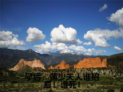 景落簿北臣（孕后，簿少夫人谁招惹！谁死！小说）全文免费阅读无弹窗大结局_孕后，簿少夫人谁招惹！谁死！小说最新章节列表