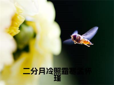 苏一茉孟怀瑾全文免费阅读大结局-二分月冷照霜寒孟怀瑾完整版无弹窗