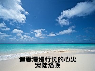 追妻漫漫行长的心尖宠陆洛晚小说（沈以谦陆洛晚）全文免费阅读无弹窗大结局_沈以谦陆洛晚最新章节列表