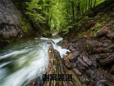 谢棠裴湛全文免费阅读大结局_谢棠裴湛最新章节列表_笔趣阁（谢棠裴湛）