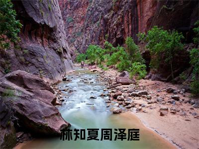 林知夏周泽庭小说免费全本-林知夏周泽庭小说（林知夏周泽庭完整版）免费阅读
