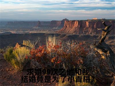 求婚99次之他和我结婚竟是为了小青梅？全文免费阅读-（周逸鸣）小说全文免费阅读正版无弹窗
