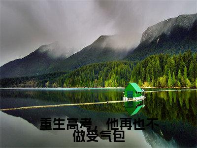 重生高考，他再也不做受气包（林瑾年顾若清）全文免费阅读无弹窗大结局_重生高考，他再也不做受气包_笔趣阁（林瑾年顾若清）