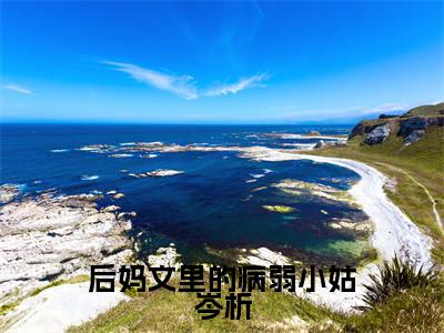 后妈文里的病弱小姑岑析全文免费阅读大结局_后妈文里的病弱小姑岑析（林清岑析）最新章节列表