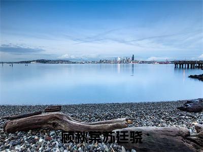苏廷骁顾秋棠全文（顾秋棠苏廷骁）完整版小说阅读_顾秋棠苏廷骁全本列表免费笔趣阁（苏廷骁顾秋棠）