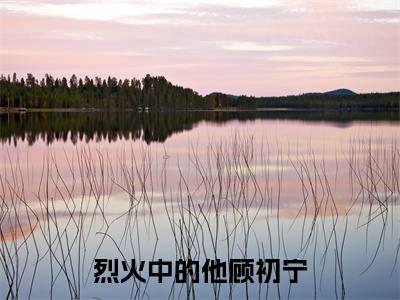 烈火中的他顾初宁全文最新章节（闻修烨顾初宁）全文免费阅读无弹窗大结局_闻修烨顾初宁免费阅读