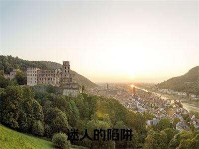 白舒周淮（迷人的陷阱）全文免费阅读无弹窗大结局_白舒周淮免费试读阅读全文无弹窗