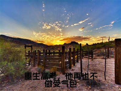重生高考，他再也不做受气包「精彩小说」无弹窗阅读林瑾年顾若清大结局阅读