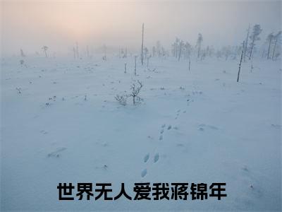 世界无人爱我蒋锦年美文欣赏完整版，沈初禾蒋锦年精彩章节在线阅读