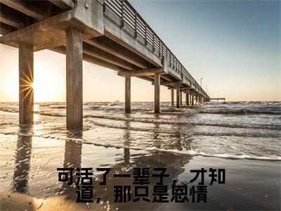 可活了一辈子，才知道，那只是恩情小说全文免费阅读乔知意谢景彦免费完整版阅读