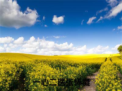 一心二医张怀凝（张怀凝小说全文）在线阅读无弹窗大结局-一心二医张怀凝全文无删减版阅读