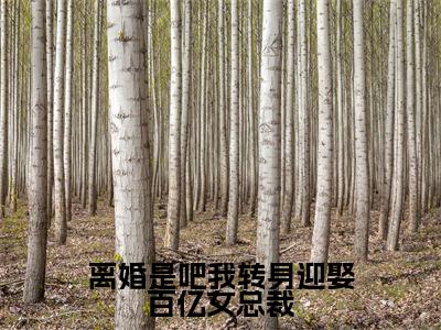 楚煊（离婚是吧我转身迎娶百亿女总裁）全文在线免费阅读无弹窗_楚煊最新章节列表_笔趣阁