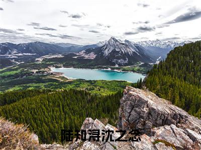 陆知浔沈之念（沈之念陆知浔）小说全文免费阅读无弹窗大结局_（沈之念陆知浔免费阅读）陆知浔沈之念最新章节列表笔趣阁