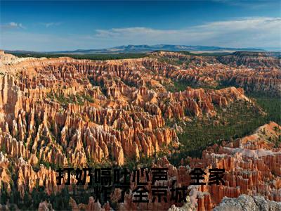 打奶嗝吐心声，全家炸了全京城免费小说（林宵宵）全文免费阅读无弹窗大结局_林宵宵最新章节列表_笔趣阁