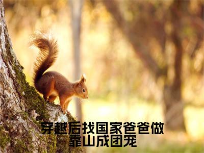 穿越后找国家爸爸做靠山成团宠小说全文免费阅读无弹窗大结局_穿越后找国家爸爸做靠山成团宠阮软最新章节列表_笔趣阁（穿越后找国家爸爸做靠山成团宠）