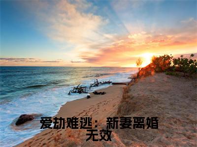 爱劫难逃：新妻离婚无效全文小说（洛祁铭夏暖心）在线阅读无弹窗大结局_洛祁铭夏暖心全文在线阅读无弹窗