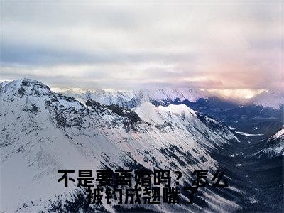 傅斯年许妄不是要离婚吗？怎么被钓成翘嘴了完整全文在线阅读傅斯年许妄全文大结局阅读无弹窗