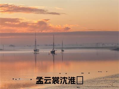沈淮玥孟云裳人气小说孟云裳沈淮玥创在线阅读-正版小说《孟云裳沈淮玥》沈淮玥孟云裳全文阅读