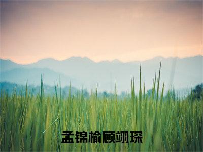 孟锦榆顾翊琛全文免费阅读无弹窗大结局_（孟锦榆顾翊琛）孟锦榆顾翊琛小说免费阅读完整版全文大结局