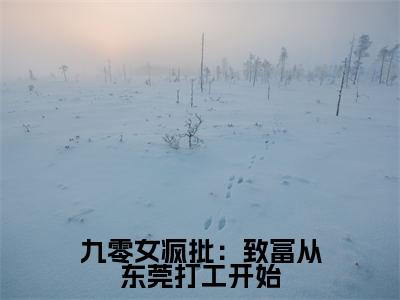 九零女疯批：致富从东莞打工开始（安小五邵平安）最新章节在线阅读-老书虫推荐九零女疯批：致富从东莞打工开始小说
