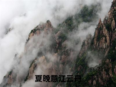 夏晚意江云舟全文免费阅读_（江云舟夏晚意免费阅读无弹窗）夏晚意江云舟最新章节在线阅读笔趣阁