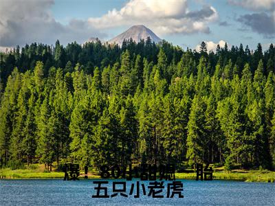 爆！80小甜媳一胎五只小老虎（秦埘越安柠）免费全文阅读小说_爆！80小甜媳一胎五只小老虎最新章节列表-笔趣阁（秦埘越安柠）
