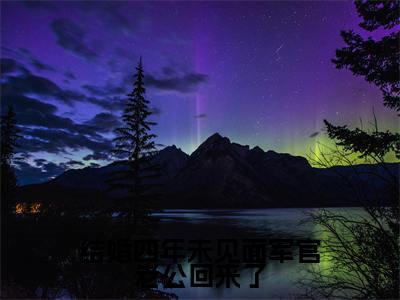 结婚四年未见面军官老公回来了（陆惊蛰夏青柠）小说全文-结婚四年未见面军官老公回来了小说免费阅读大结局