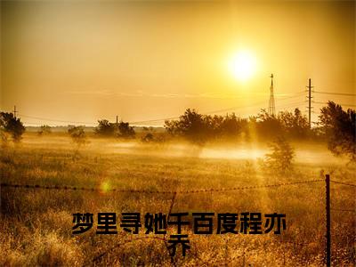 梦里寻她千百度程亦乔小说全文（程亦乔）全文免费阅读无弹窗大结局-（程亦乔）无弹窗免费阅读大结局