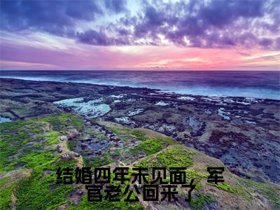 陆惊蛰夏青柠小说结婚四年未见面，军官老公回来了完整版阅读结婚四年未见面，军官老公回来了全文在线赏析