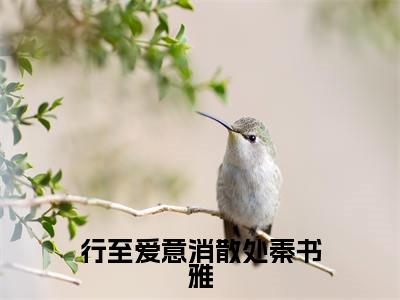 行至爱意消散处秦书雅小说全文免费阅读无弹窗-（江言傅秦书雅阅读无弹窗）穿越小说免费阅读_笔趣阁