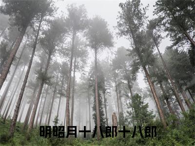 主角是明昭月十八郎的小说-明昭月十八郎十八郎全章节在线阅读