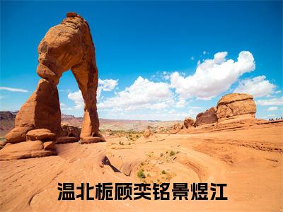 主角是顾奕铭景煜江温北栀的小说全文免费阅读无弹窗大结局-《温北栀顾奕铭景煜江》完整章节阅读