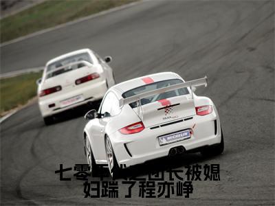 聂佳欣程亦峥（七零年代之团长被媳妇踹了程亦峥）全文免费阅读无弹窗大结局_聂佳欣程亦峥说免费阅读最新章节列表